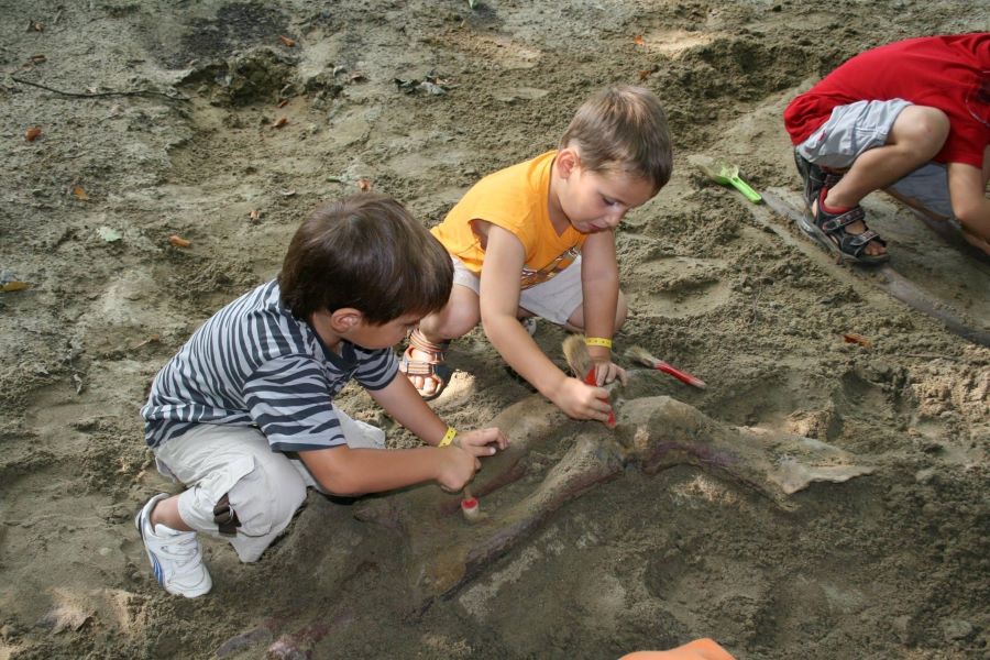 Image of Dino bone excavation