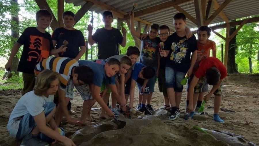 Image of Dino bone excavation with school groups
