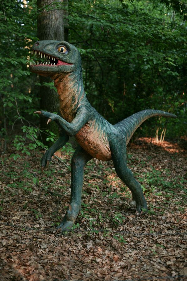 Raptor in Styrassic Park