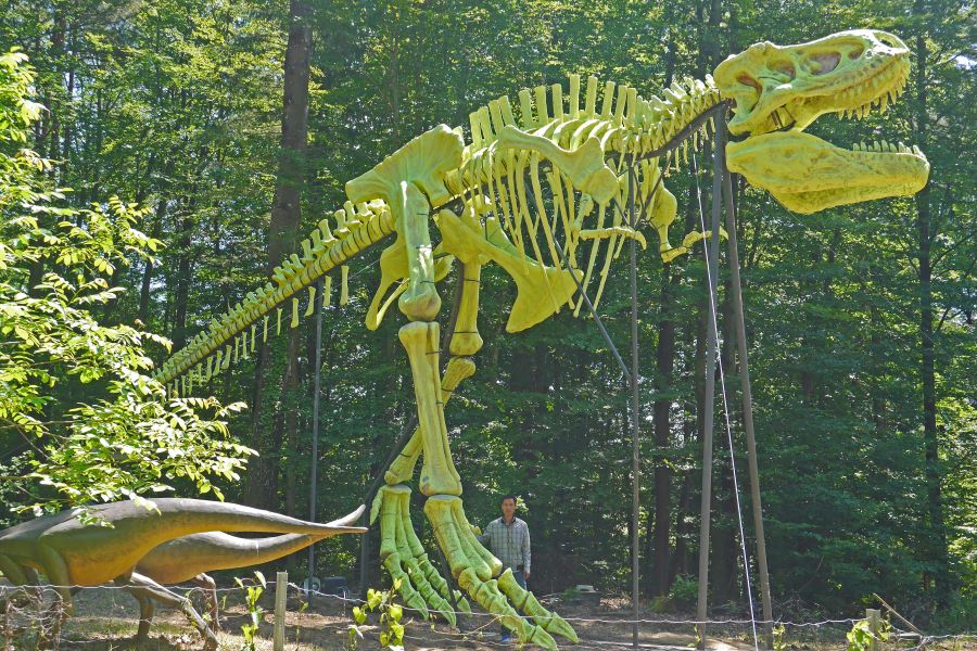 Trex-skeleton in Styrassic Park