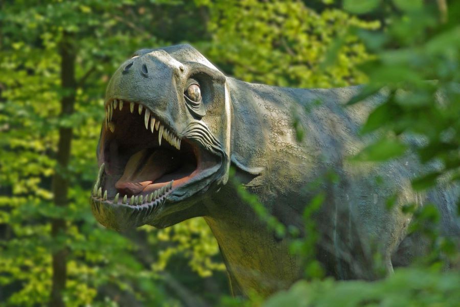 image of Tyrannosaurus Rex in Styrassic Park