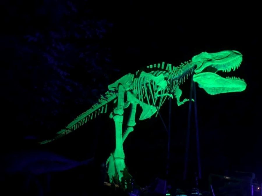 Image of night hike to the glowing T-Rex skeleton