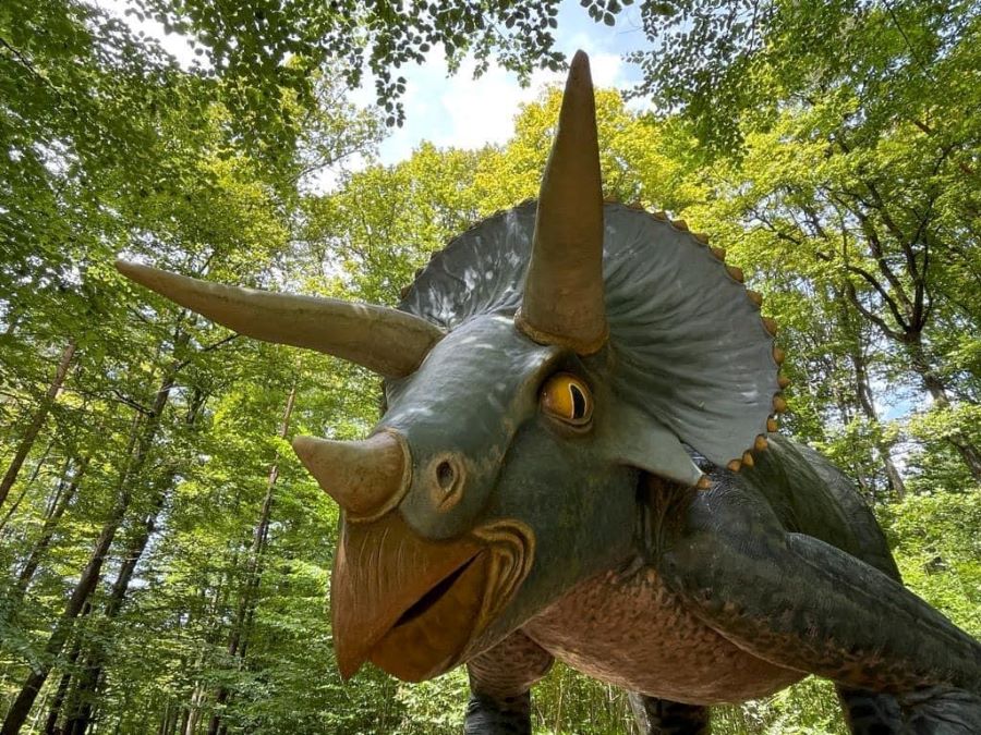 Image of Triceratops in Styrassic Park