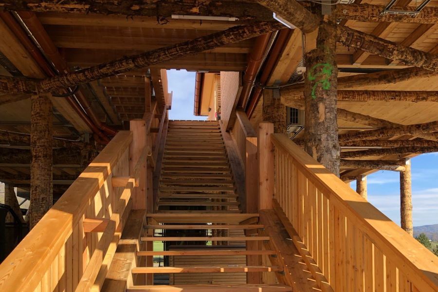 Image of Treehouse Africa 2 staircase