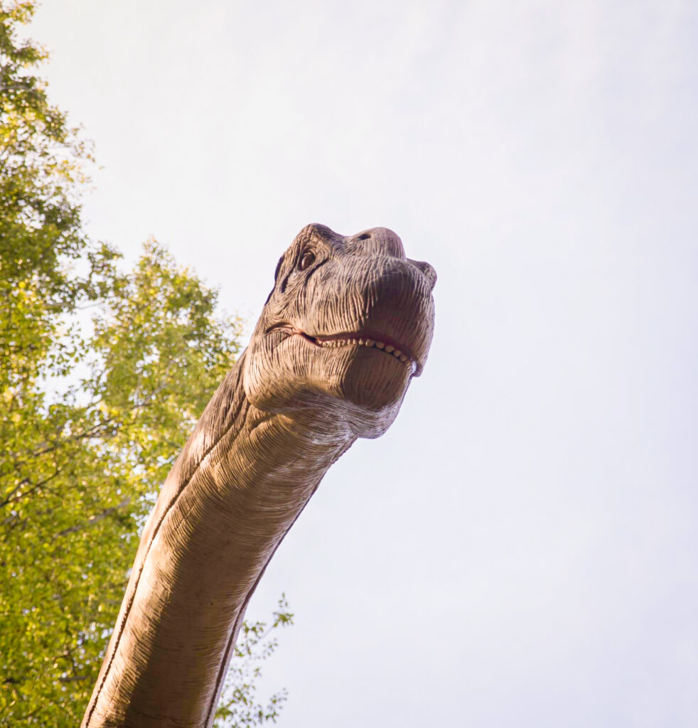 Image of head of argentinosaurus in styrassic park in bad gleichenberg