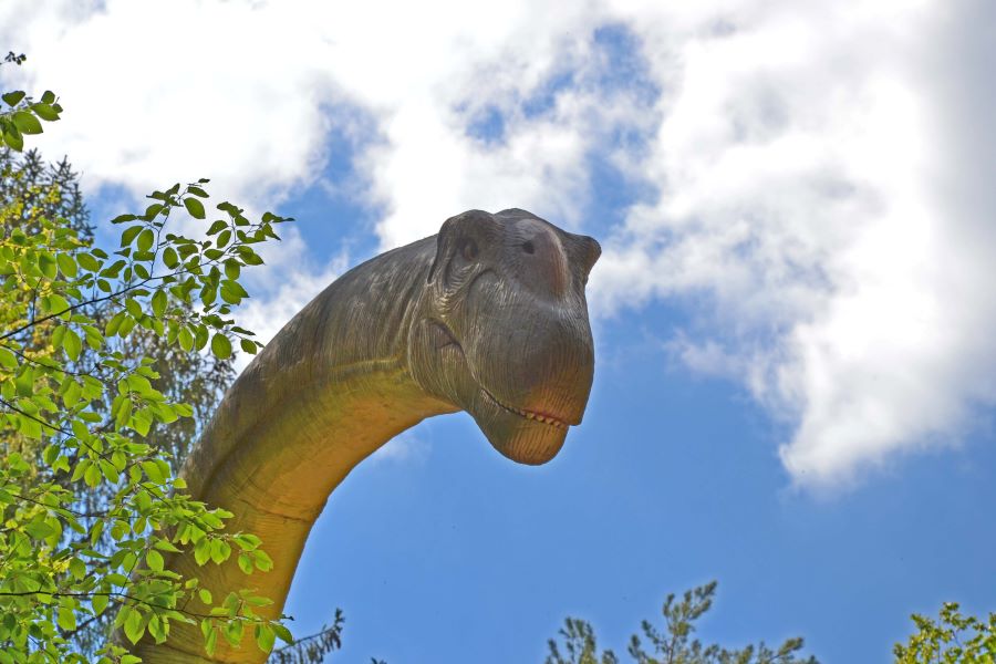 Agentinosaurus - das größte Reptil unserer Zeit!