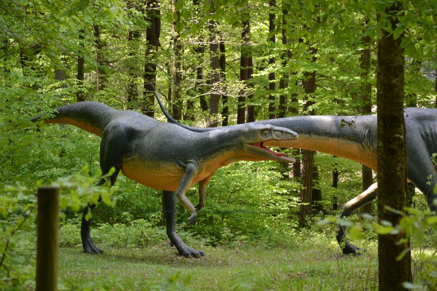 Bild vom Allosaurier in der Jurazeit