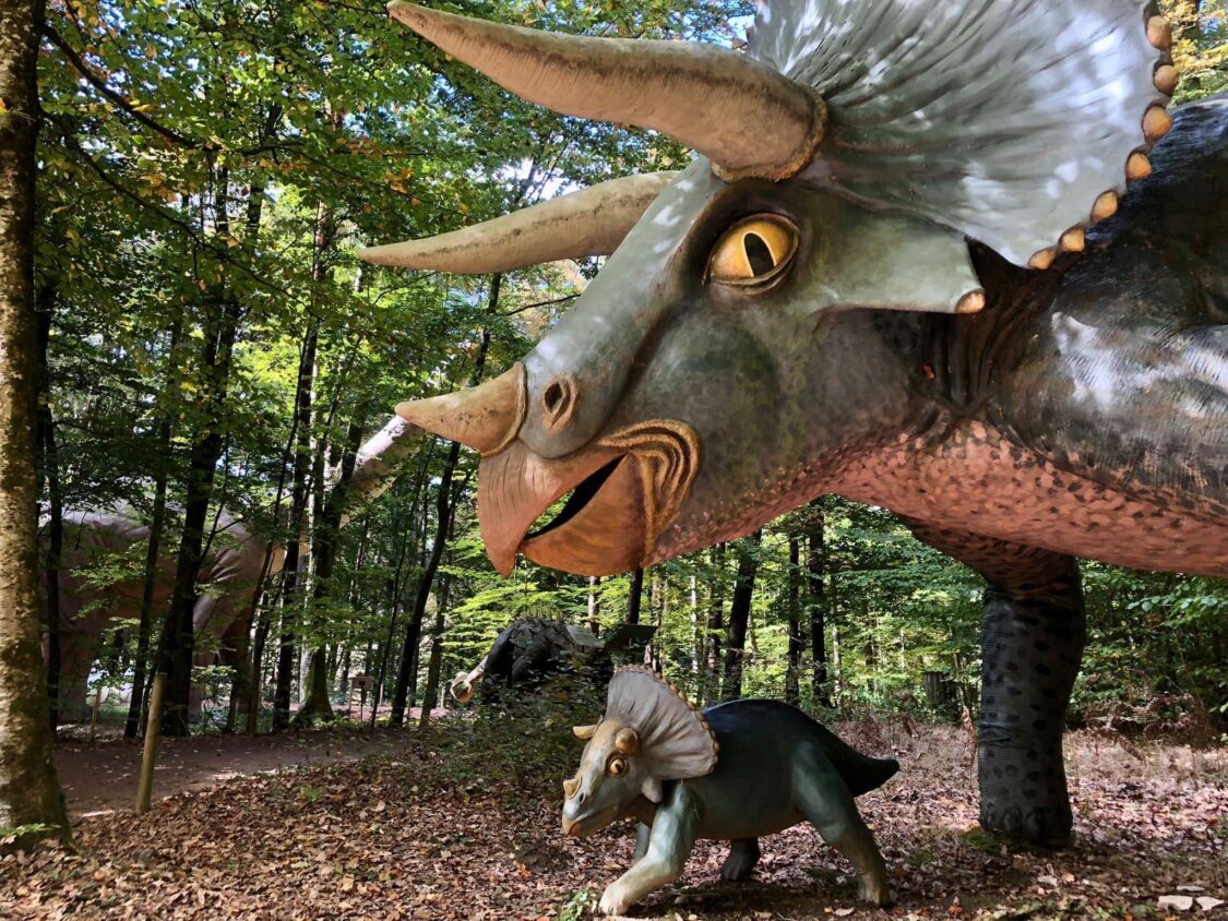 Bild von Triceratops Familie