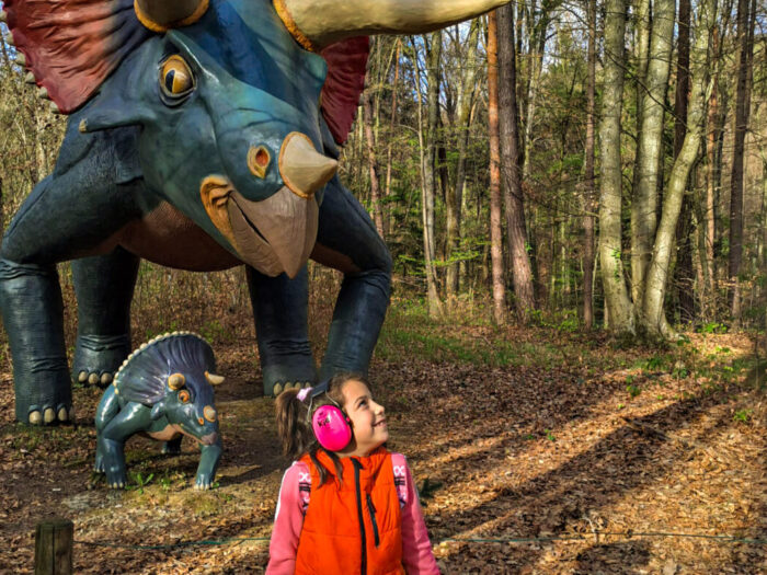 Bild von den Stillen Tagen eines träumenden Kind mit Lärmschutzkopfhörer neben dem Triceratops im Styrassic Park
