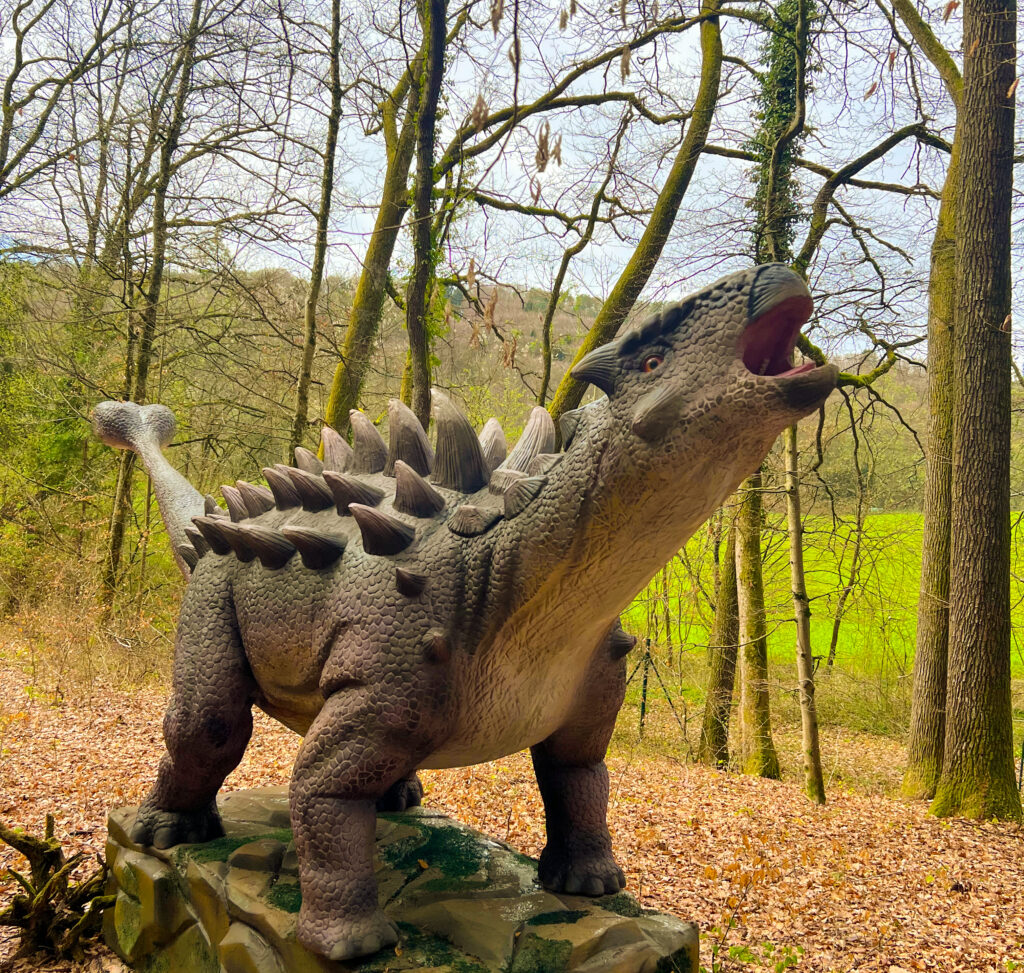 Bild von Ancylosaurus im Dinopark