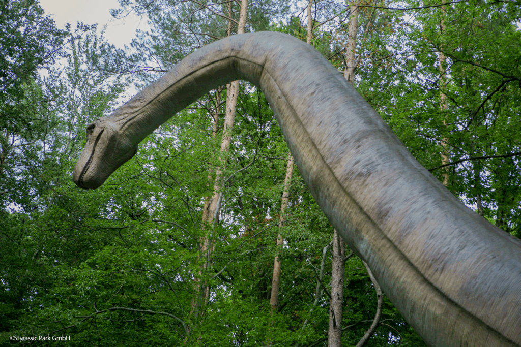 Bild vom Argentinosaurus Kopf im Styrassic Park
