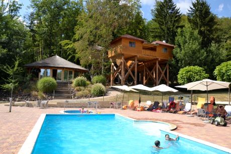 Bild von Baumhotel mit Poolanlage in Styrassic Park Tickets inkludiert